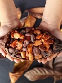 Dry Cocoa Beans